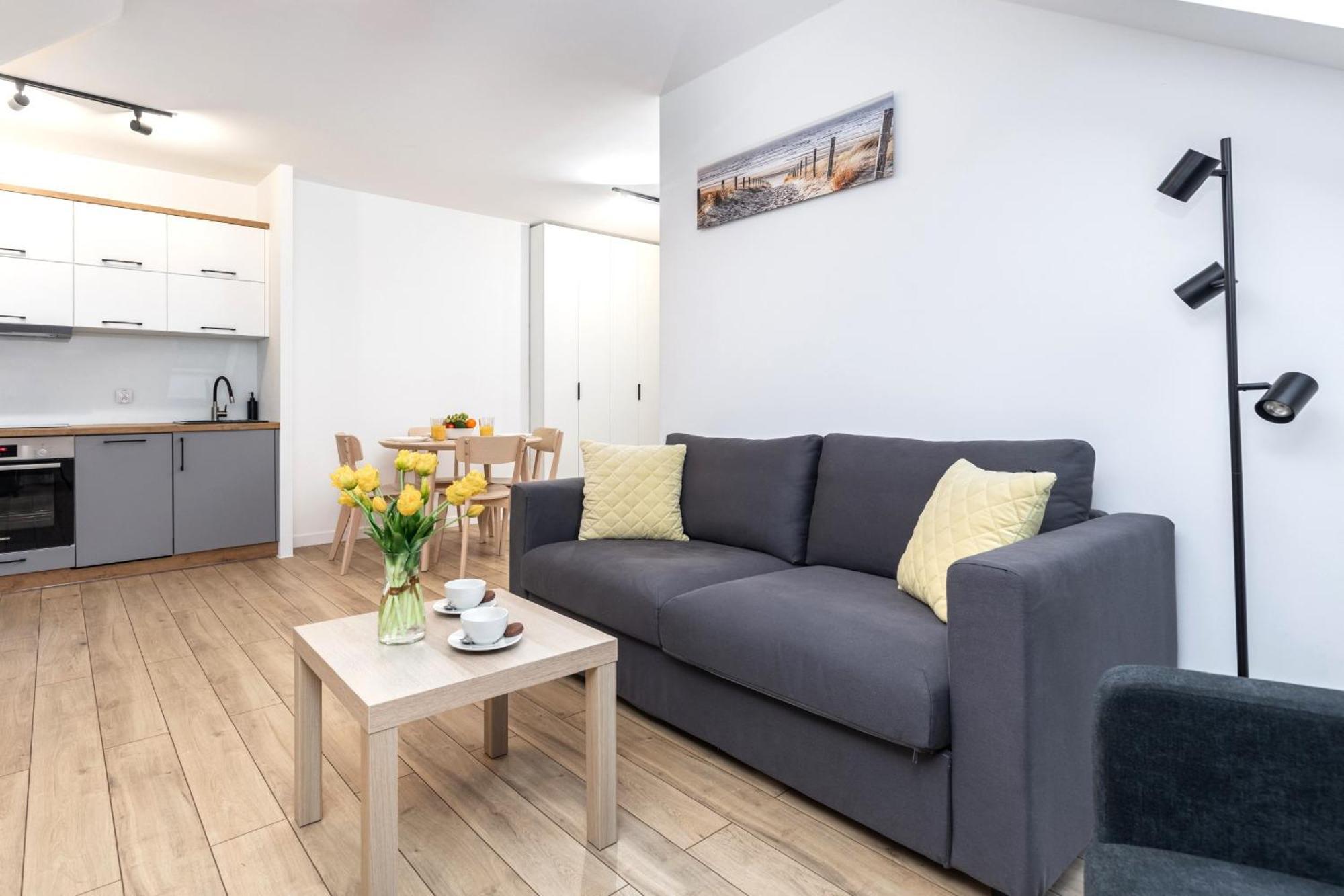 Apartamenty Morskie Oko By Noclegi Renters ミエンジズドロイェ エクステリア 写真